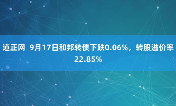 道正网  9月17日和邦转债下跌0.06%，转股溢价率22.85%