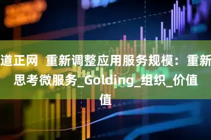 道正网  重新调整应用服务规模：重新思考微服务_Golding_组织_价值