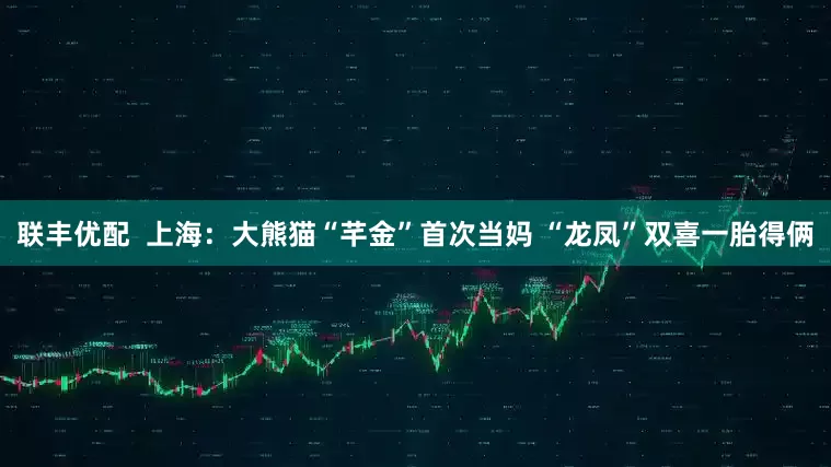 联丰优配  上海：大熊猫“芊金”首次当妈 “龙凤”双喜一胎得俩